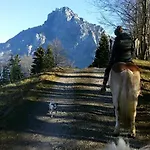 Mitterattweng-florian Und Monika Clodi Appartement