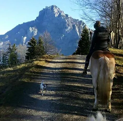 Mitterattweng-florian Und Monika Clodi Daire